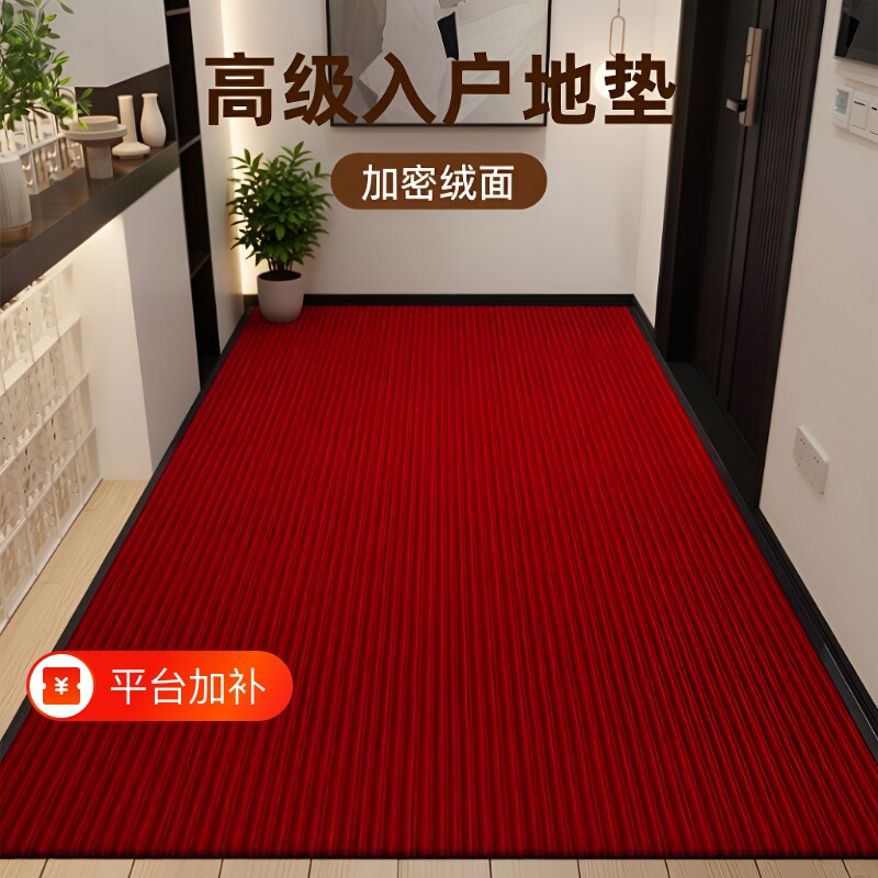 高级感高级入户门门垫大面积防滑吸水耐脏进门脚垫地毯免洗除尘
