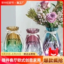 饰玻璃透明水培绿萝植物插花特价 创意家用装 花瓶摆件客厅欧式