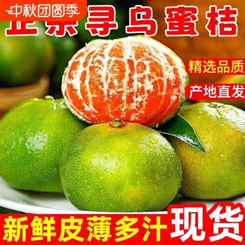 【现货】江西寻乌蜜桔青皮橘子无籽酸甜多汁应季孕妇水果产地直发
