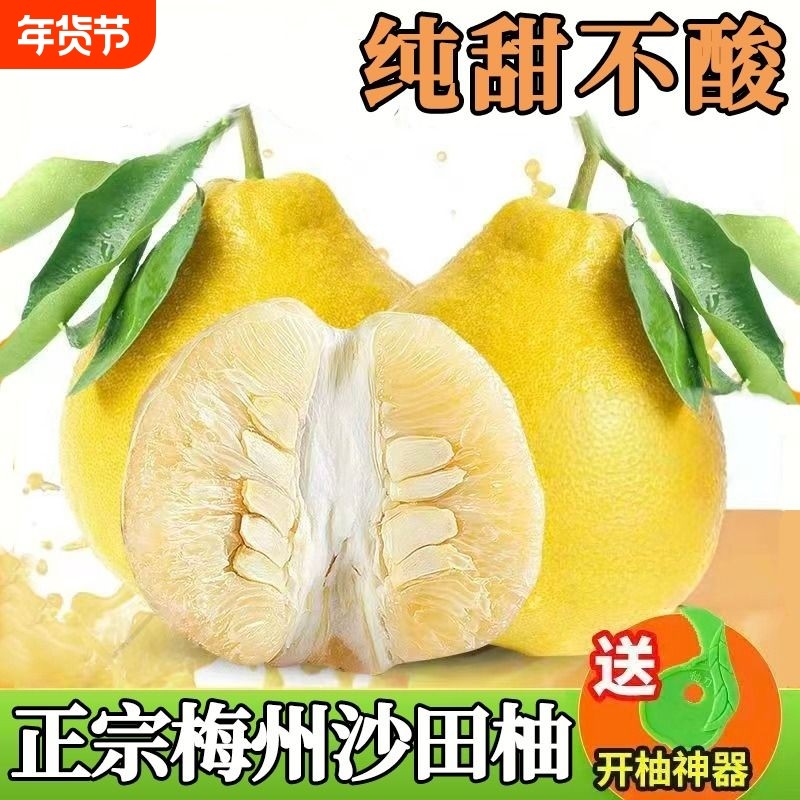 纯甜正宗梅州沙田柚广东金柚柚子白心肉当季孕妇新鲜水果包邮特色,水产肉类/新鲜蔬果/熟食,柚子,淘宝优惠券,粉丝福利购,淘宝优惠卷