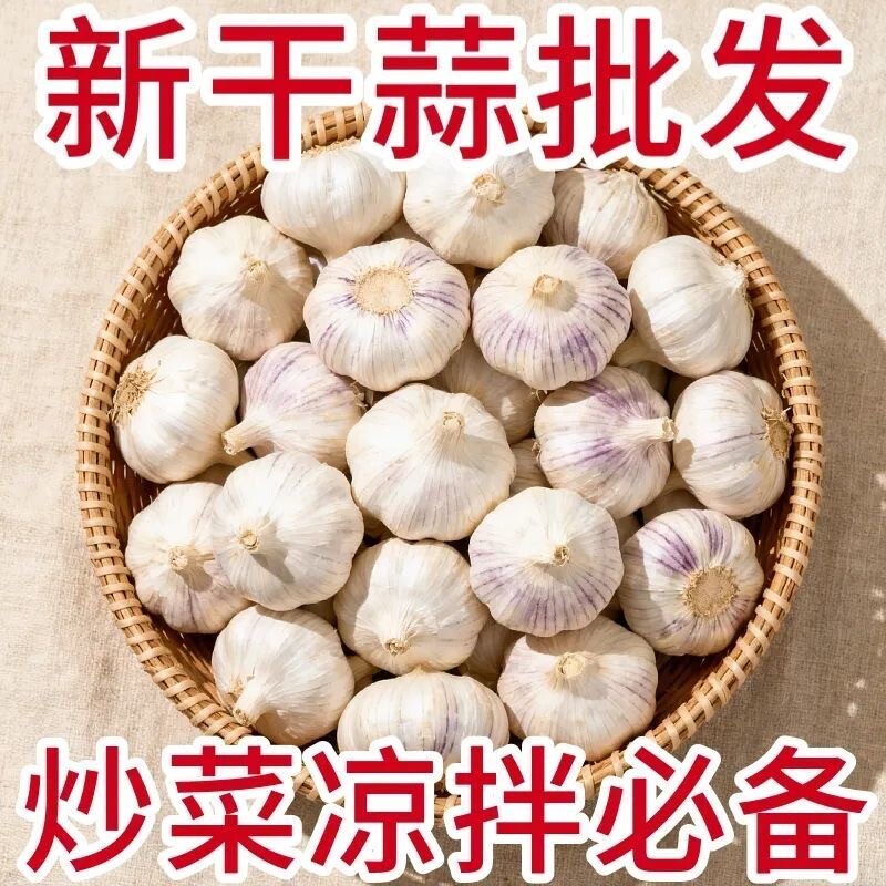 2026金乡大蒜新干蒜山东紫皮大蒜农家自种多瓣蒜干蒜整箱包邮批发