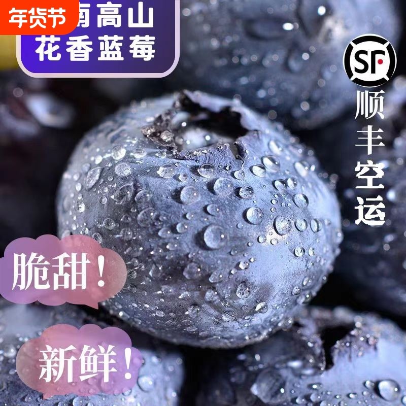 顺丰云南高山蓝莓鲜果原生态当季新鲜4盒500g大果花香现摘优选,水产肉类/新鲜蔬果/熟食,蓝莓,淘宝优惠券,粉丝福利购,淘宝优惠卷