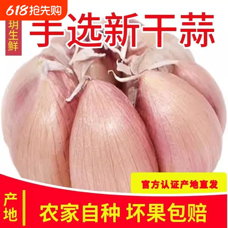 新干蒜5斤大蒜头种子干大蒜种籽河南批发新鲜蔬菜2/3/5斤紫皮蒜