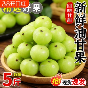 油甘果新鲜5斤余甘果牛甘子当季现摘油柑滇橄榄孕妇酸甜水果包邮