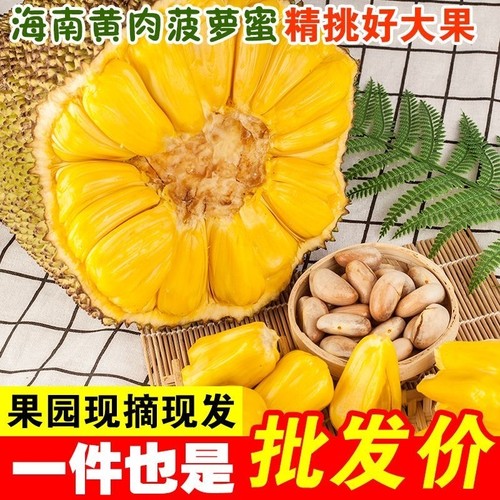 海南黄肉菠萝蜜新鲜水果波罗水果新鲜当季红三亚特产一整个包邮