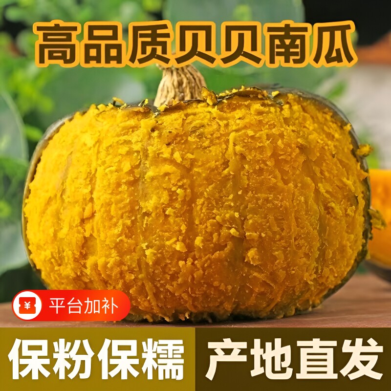 正宗真贝贝南瓜板栗味小南瓜粉糯婴儿南瓜辅食批发包邮粗粮香甜