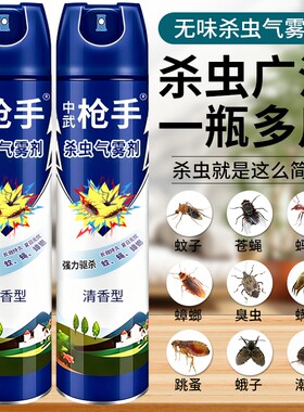 杀虫剂气雾剂家用室内灭蚊子