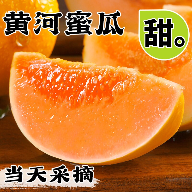 陕西黄河蜜甜瓜当季新鲜水果沙漠图片