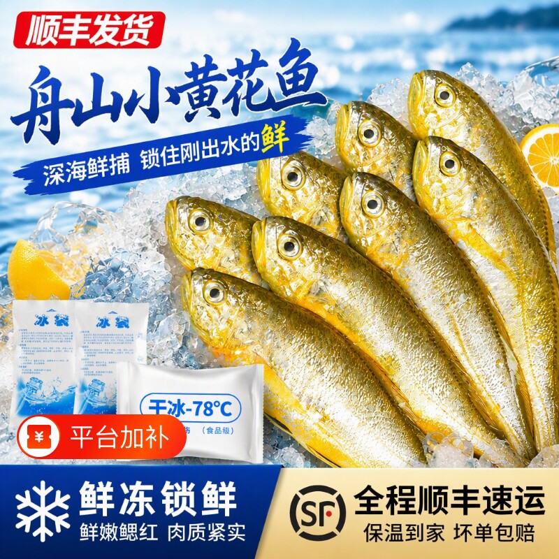 东海小黄花鱼鲜冻烧烤冰鲜野生深海新鲜冷冻鲜活黄鱼商用食品鱼肉