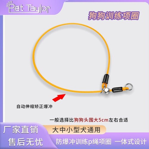 小型犬狗脖套宠誉防爆冲P字项圈
