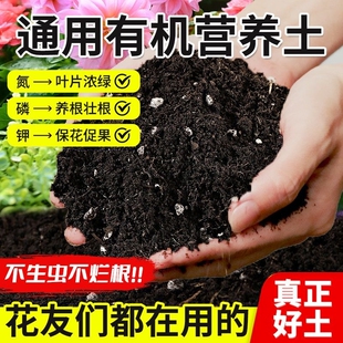 营养土种花菜通用专用泥炭土壤兰花土盆栽蔬菜多肉种植土氮磷钾