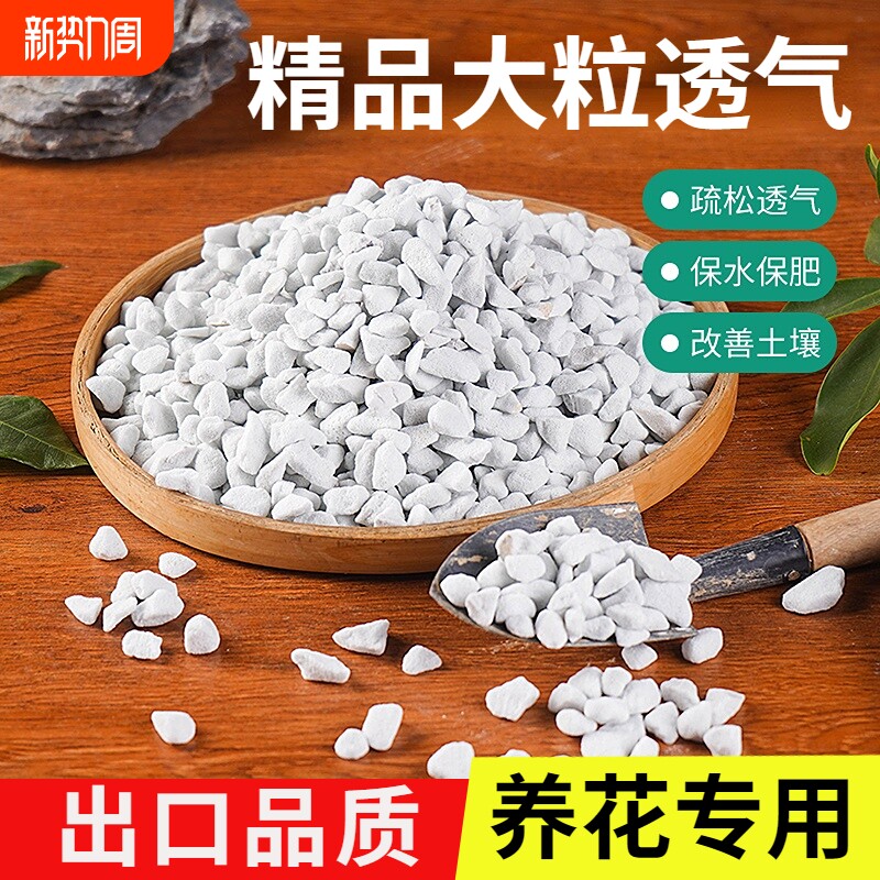 珍珠岩无尘大颗粒养花通用营养土多肉兰种植育苗膨胀保温硬质植料