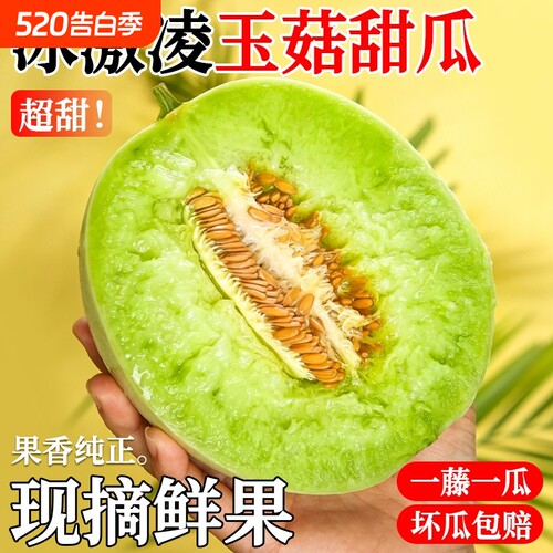 正宗山东玉菇甜瓜冰淇淋蜜瓜