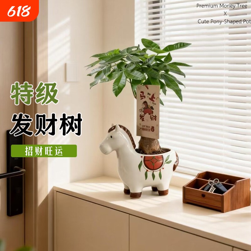 马上发财小马发财树小盆栽摆件办公室内桌面绿植物伴手礼招财种植