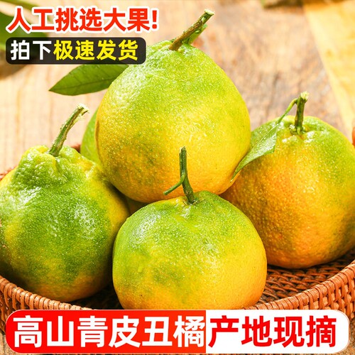 丑橘新鲜丑八怪橘子当季时令水果整箱包邮耙耙丑柑蜜橘桔子柑橘