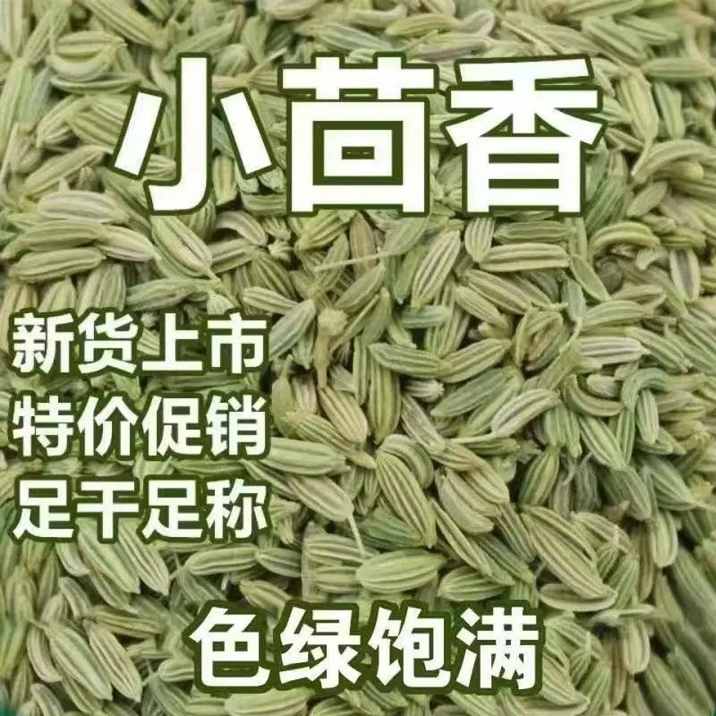 小茴香卤菜调味料茴香籽散装