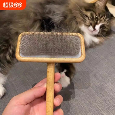 2026新款宠物梳子猫咪梳子狗毛刷