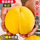 正宗蒙阴黄桃新鲜毛桃子水果应当季 现摘黄金肉脆蜜桃大果整箱 包邮