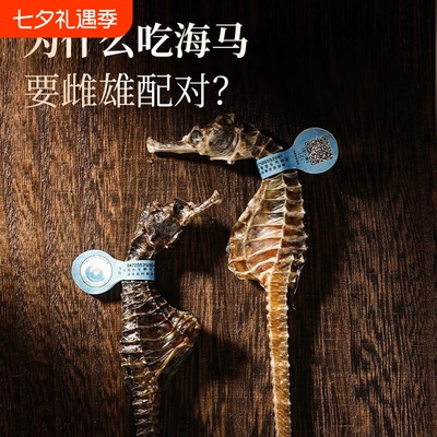 福东海海马干货中药材温肾助阳泡酒煲汤大公母配对抓配一公一母