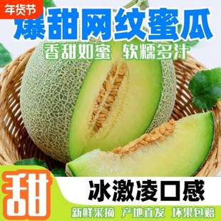 海南玫珑网纹蜜瓜哈密瓜新鲜水果当季玲珑冰淇淋奶香梅陇甜瓜5