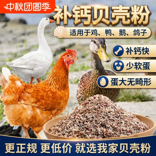 高钙贝壳粉饲料颗粒|千人加购