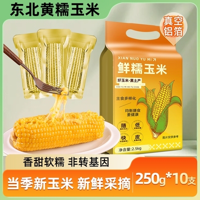 东北黄糯玉米新鲜采摘当季新货