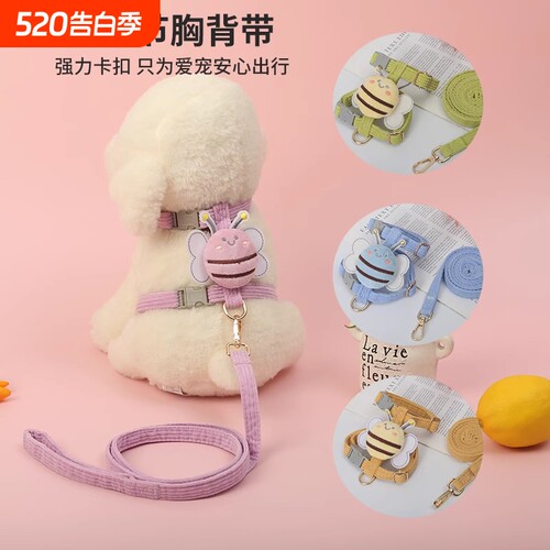 炅哆哆猫咪牵引绳子胸背带防挣脱
