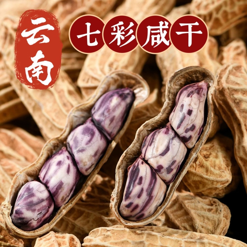 2025新货云南土特产七彩花生咸干水煮带壳牛奶花生野餐露营干花生