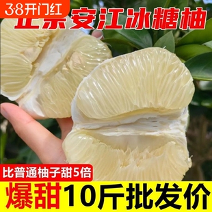 湖南雪峰冰糖柚新鲜怀化安江老树小苦柚药柚子白心金兰柚10斤水果