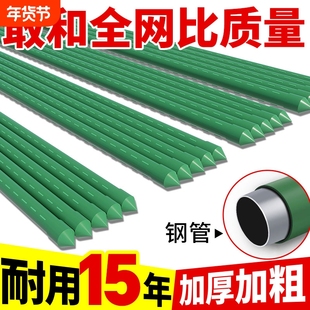 花架爬藤架葡萄黄瓜豆角架杆庭院种植月季种菜支撑杆植物棚架支架