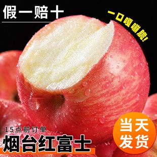 正宗山东烟台红富士苹果新鲜水果栖霞脆甜丑平果冰糖心直发自然熟