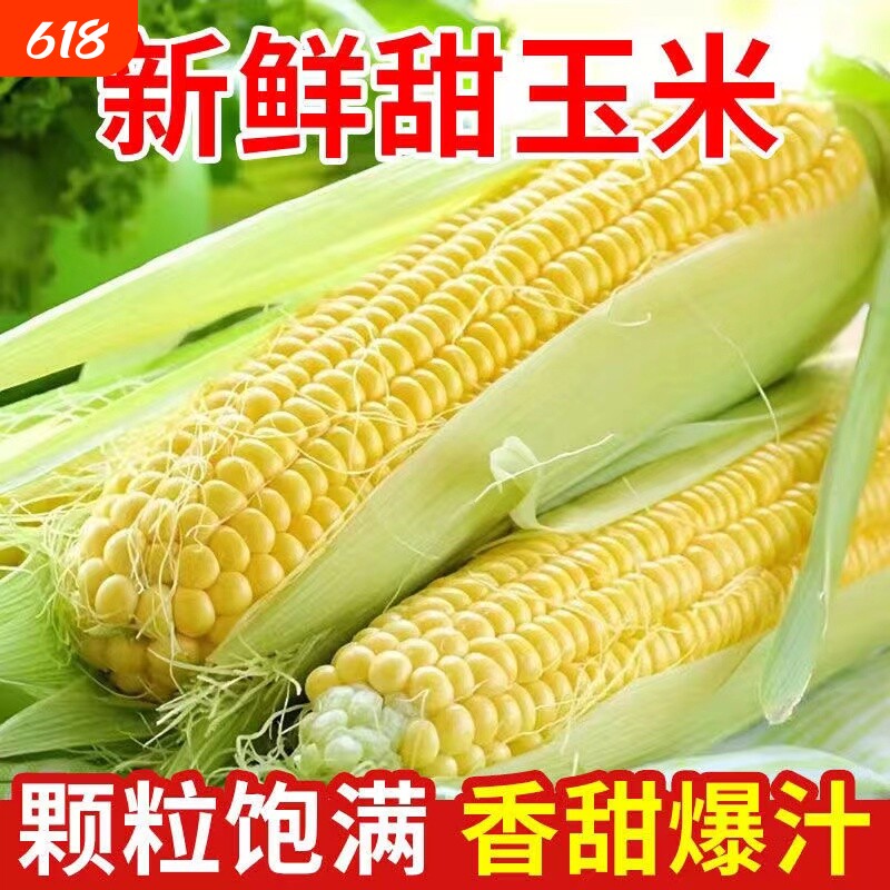 现摘水果玉米甜玉米新鲜嫩玉米爆浆鲜玉米农家当季带皮黄玉米包邮