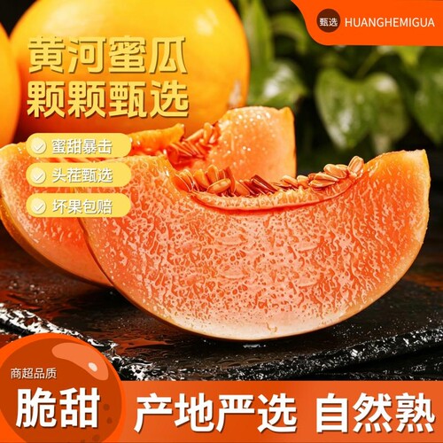正宗黄河蜜瓜新鲜应季水果现摘