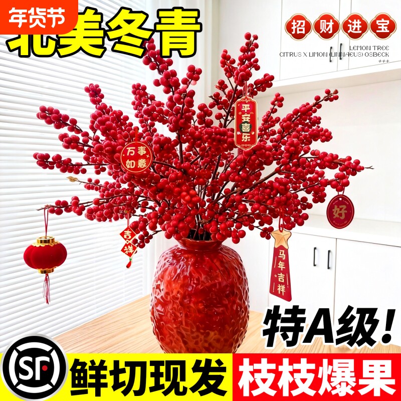 北美冬青红果水培鲜花鲜切新年盆栽室内银柳真花鲜枝年宵花卉水养
