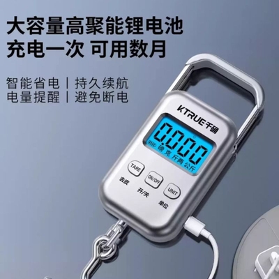 便携式手提电子秤精准家用行李称高精度随身口袋小型弹簧秤称鱼器