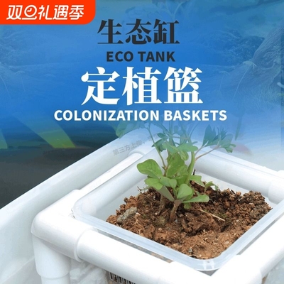 水培植物定植篮壁挂式固定神器