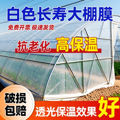 大棚塑料膜防雨塑料布薄膜小拱棚加厚种菜种植膜农用透明特厚保温