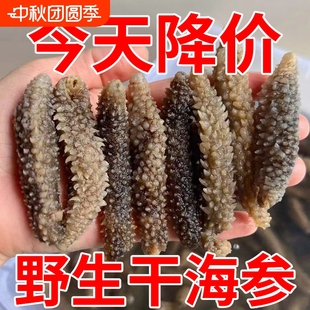 野生淡干海参 黑刺参新鲜干货非大连辽刺参无添加深海参一斤散装