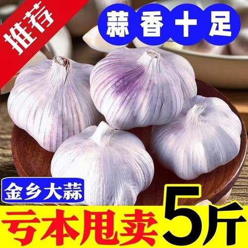 超值正宗紫皮大蒜头干蒜农家新鲜蒜子特大果批发价种植好评便宜