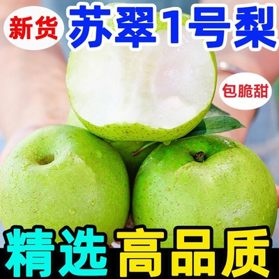 新鲜青皮梨苏翠一号非皇冠梨脆甜多汁应季水果整箱砀山直发酥脆
