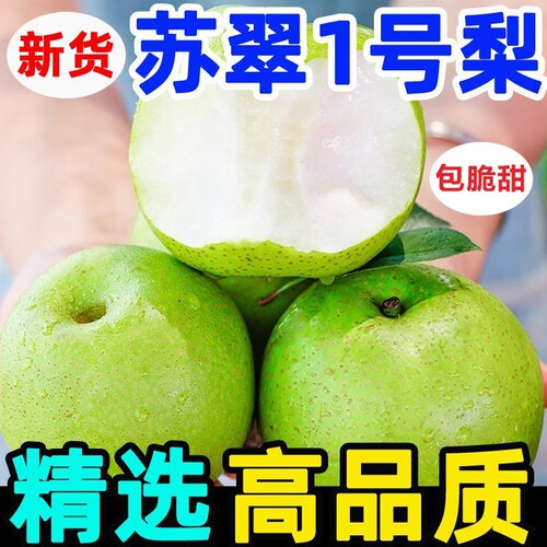 新鲜青皮梨苏翠一号非皇冠梨脆甜多汁应季水果整箱砀山直发酥脆