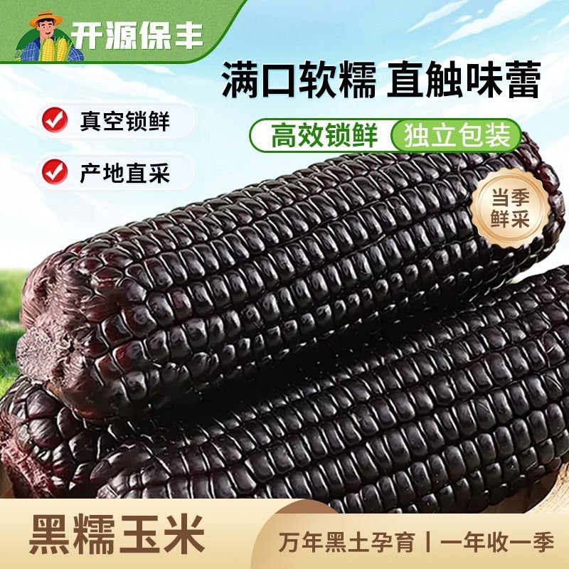 开源黑糯玉米棒真空包装新鲜苞米代餐主食玉米真空装香甜当季软糯