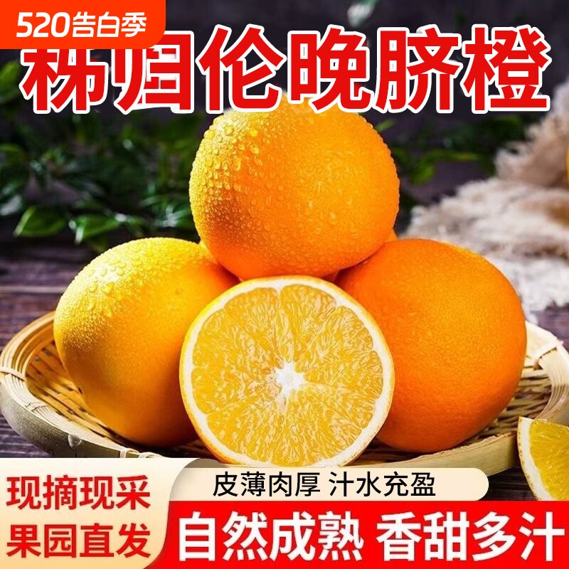 橙子伦晚脐橙湖北秭归新鲜10斤大果甜春橙手剥橙整箱当季水果现摘