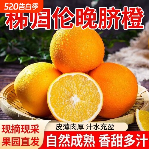 橙子伦晚脐橙湖北秭归新鲜10斤大果甜春橙手剥橙整箱当季水果现摘