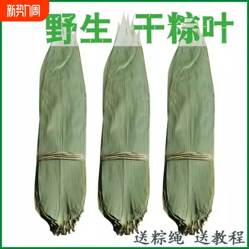 干粽叶棕叶粽子叶新鲜大号家用竹叶包粽子的粽叶特大码叶子斑斓叶