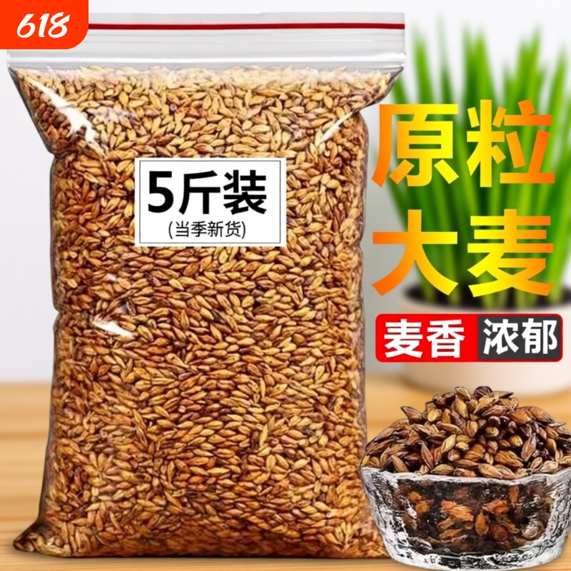 大麦茶2500g原味散装茶叶饭店酒店枸杞玫瑰决明子泡茶清香烘焙