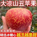 正宗大凉山丑苹果红富士盐源糖心苹果原生态新鲜脆甜应季 水果好吃