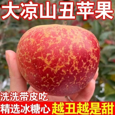 正宗大凉山丑苹果高原红富士盐源糖心苹果原生态新鲜脆甜应季水果