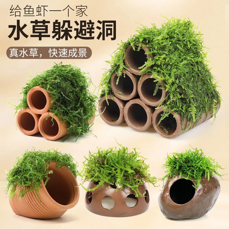 鱼缸莫斯陶罐水草造景真植物躲避罐虾屋小摆件小鱼繁殖躲避屋沉木