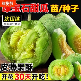 绿宝石甜瓜种籽大全春季羊角蜜种子正品四季蔬菜种孑香瓜种籽秧苗